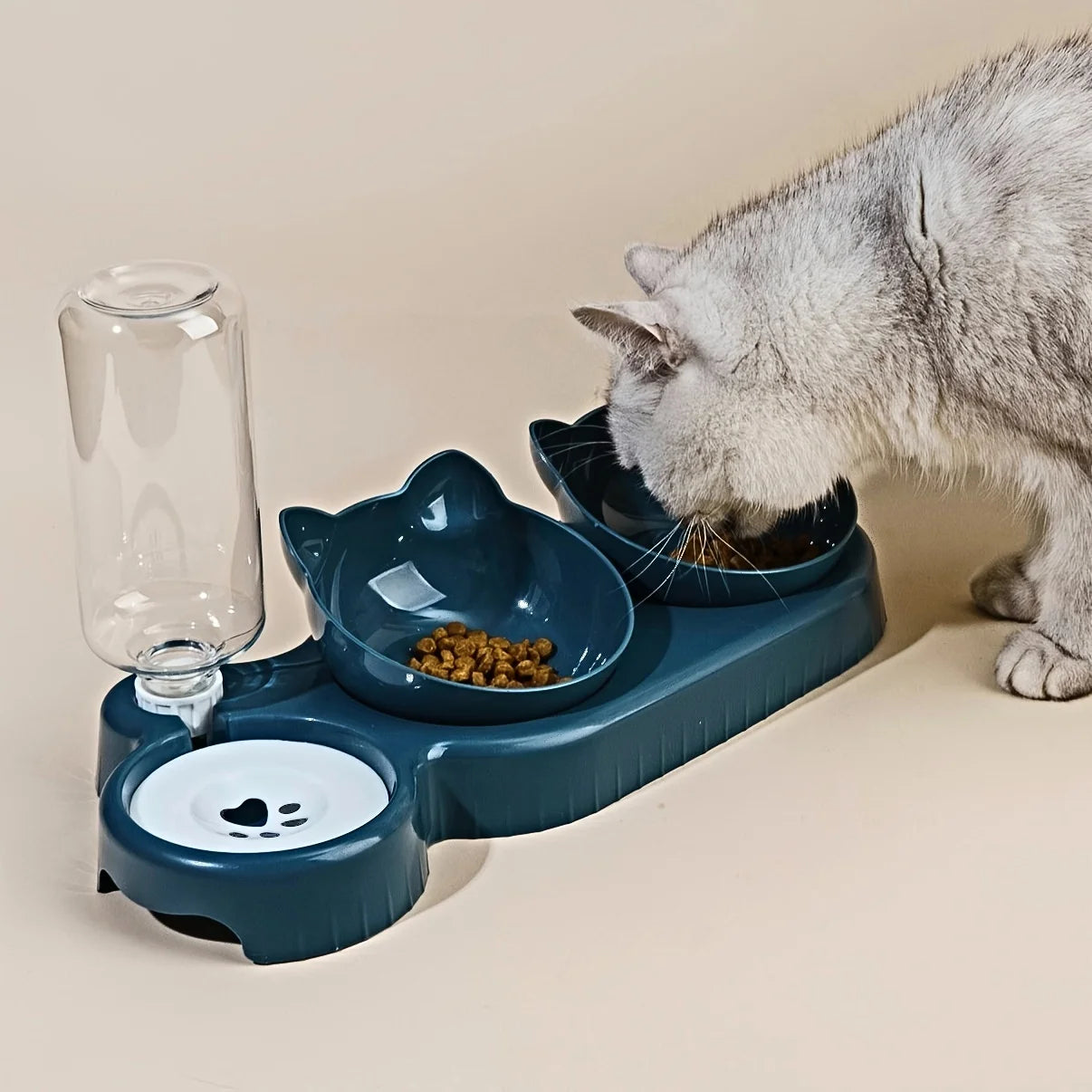 3-in-1 Tilted Pet Food & Water Set