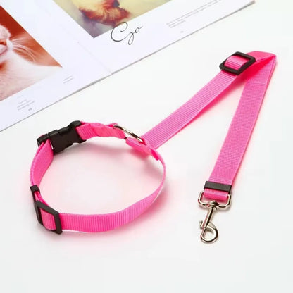 2-in-1 Dog Car Seat Belt & Leash