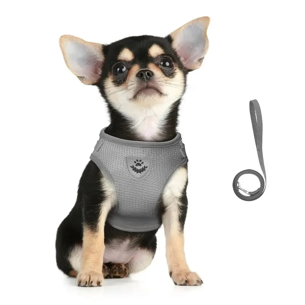 Reflective Escape-Proof Cat Harness Set