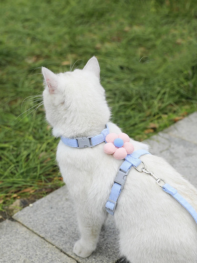 Adjustable Breathable Dog & Cat Harness Set