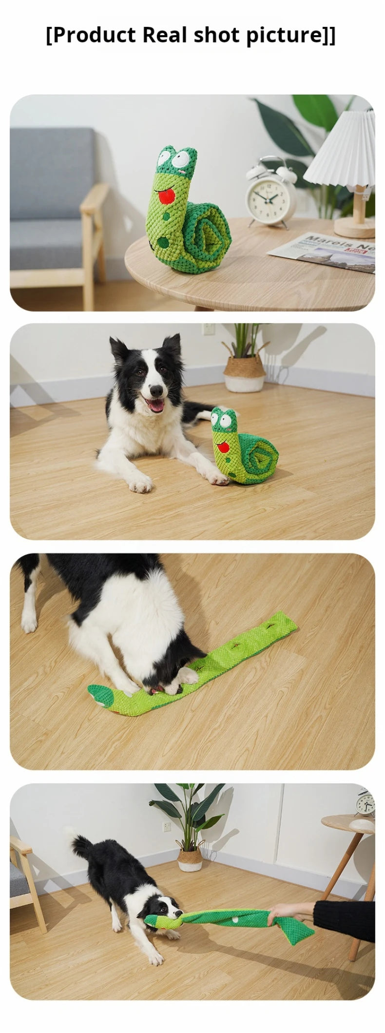 Snail Puzzle Squeaky Dog Toy