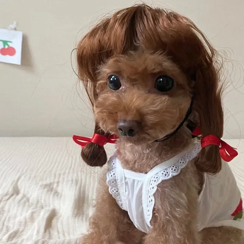 Funny Dog Cosplay Wig
