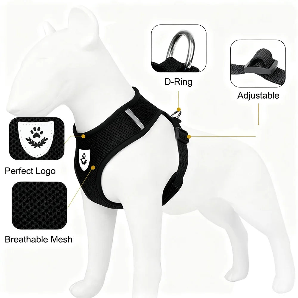 Reflective Cat Harness & Leash Set