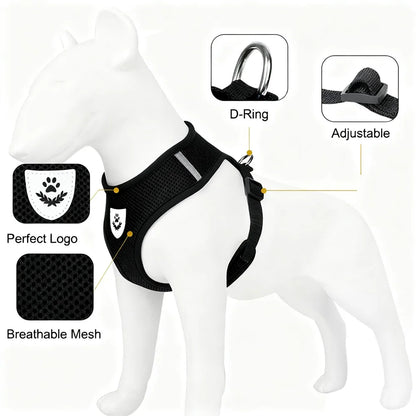 Reflective Cat Harness & Leash Set