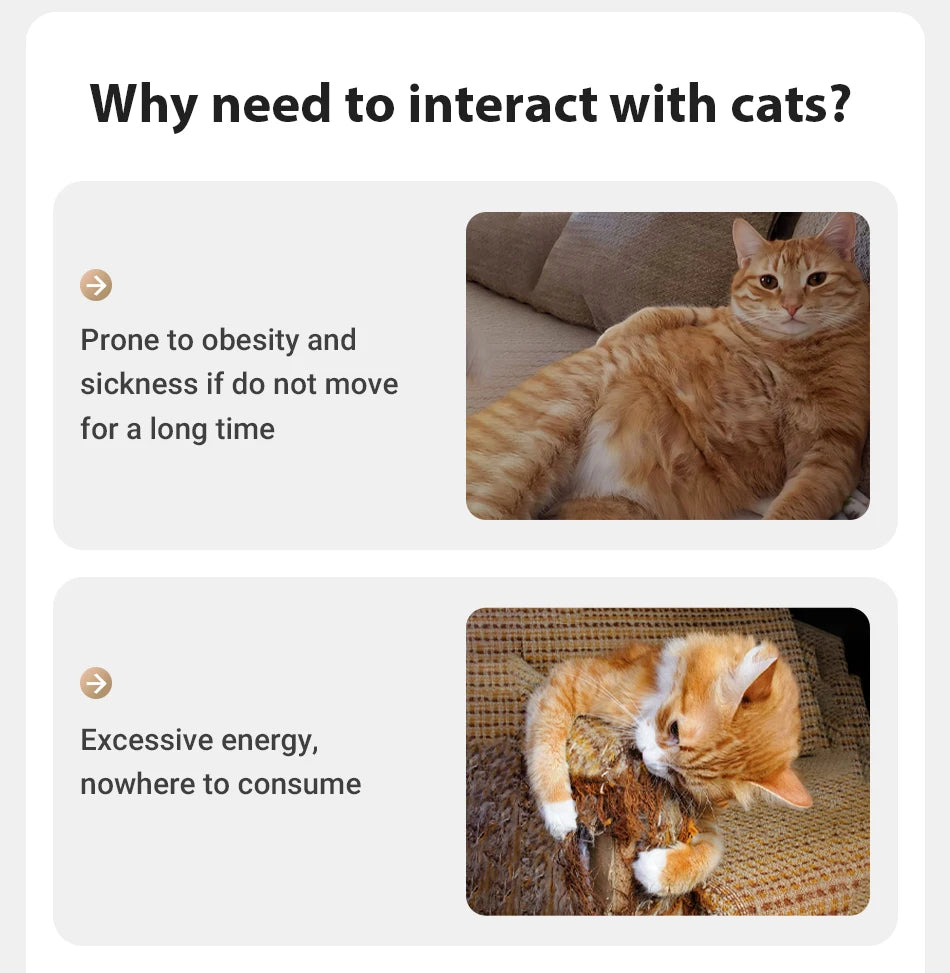 Automatic Electric Cat Laser Toy