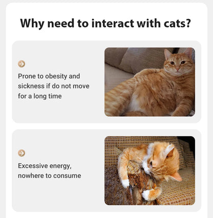 Automatic Electric Cat Laser Toy