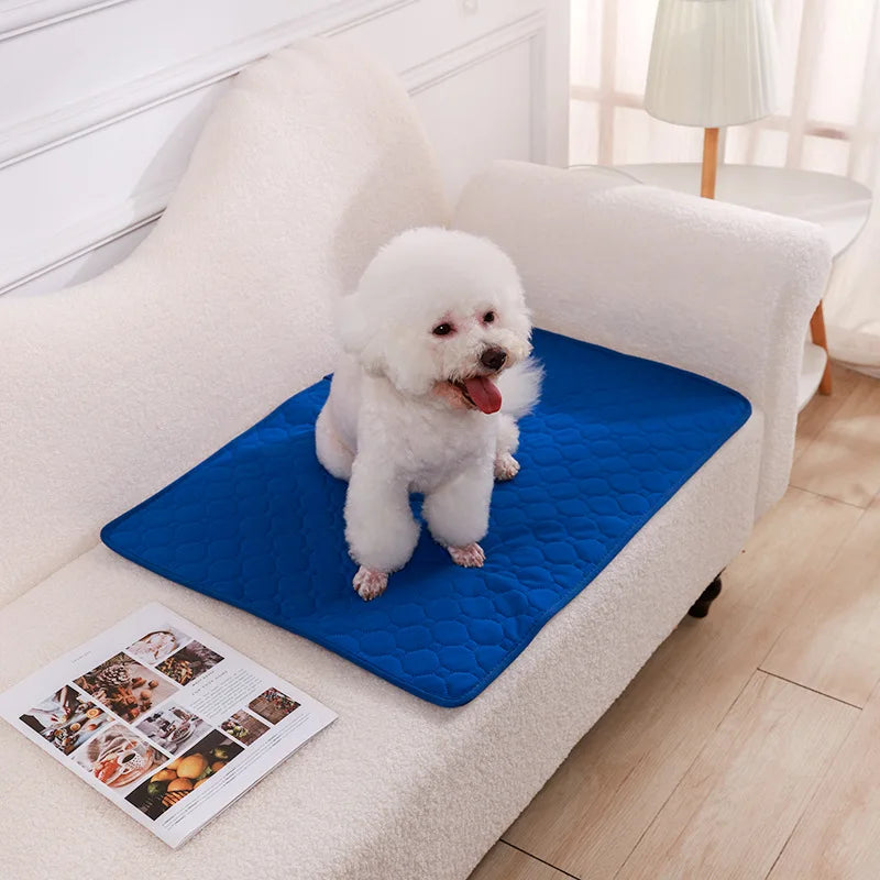 Reusable Washable Pee Pad