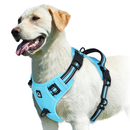 Padded No-Pull Dog Harness