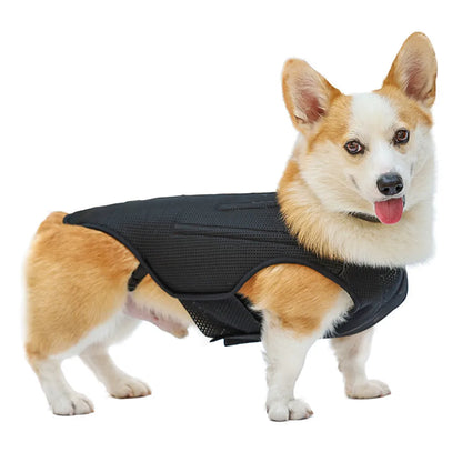 Dog IVDD Back Brace & Support
