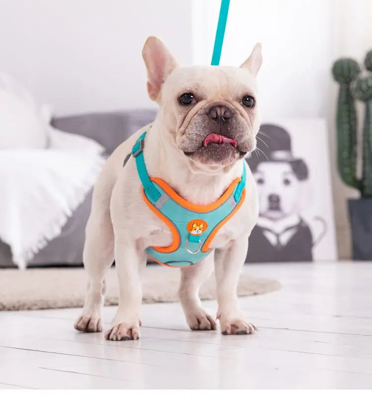 No-Pull Reflective Dog Harness