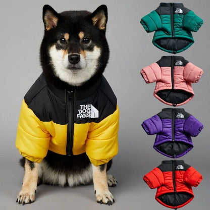 Puppy Down Jacket