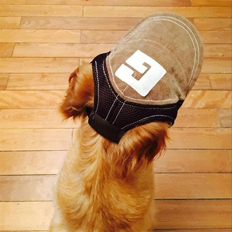 Dog Sun Hat with Ear Holes
