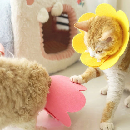 Soft Dog Recovery Cone