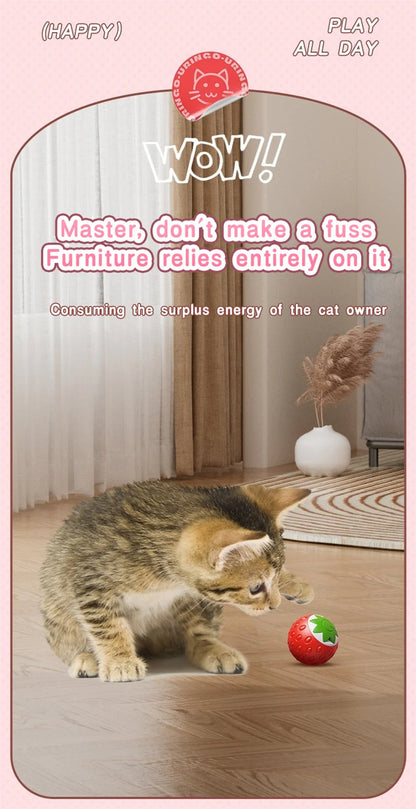 Automatic Rolling Cat Ball