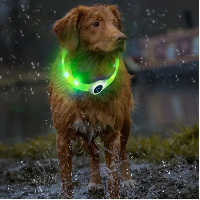 LED Light-Up Dog Collar