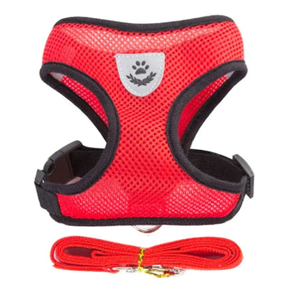 Mesh Cat & Dog Vest Harness Set