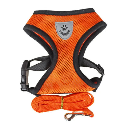 Anti-Escape Cat Vest Harness & Leash