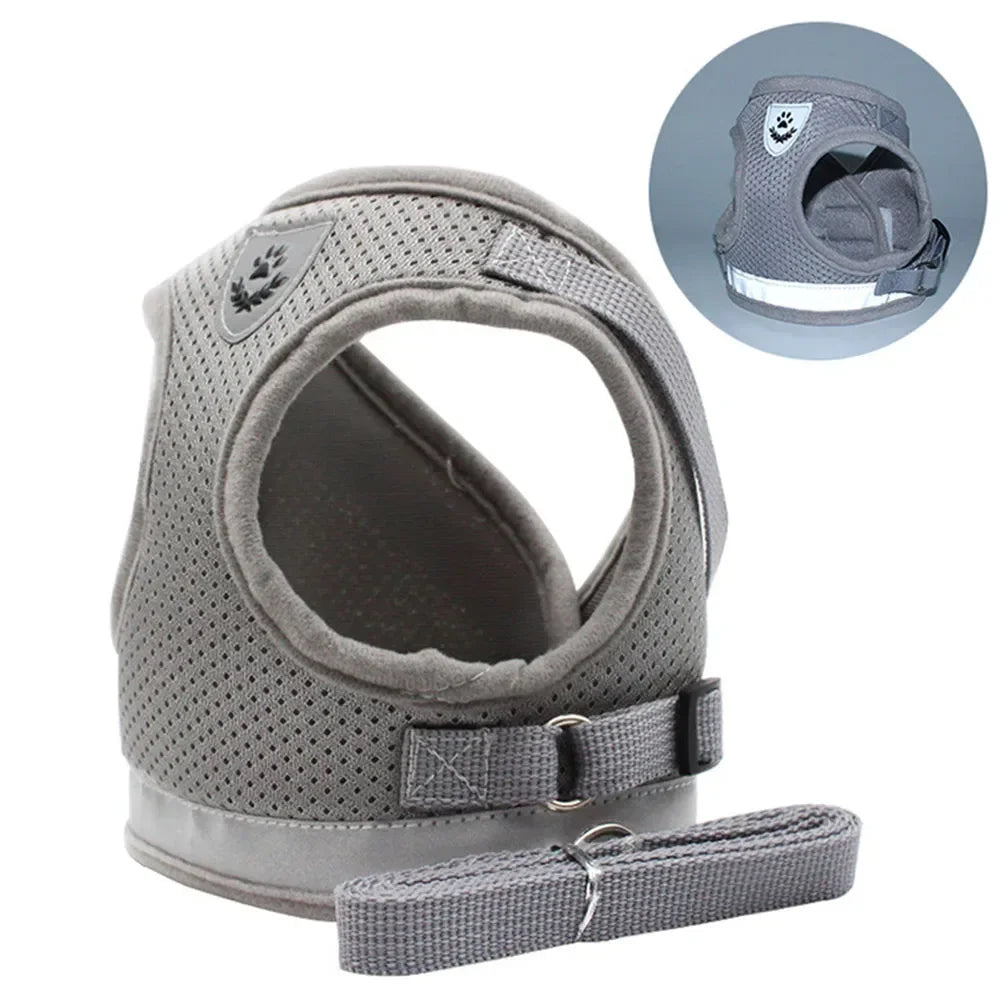 Reflective Escape-Proof Cat Harness Set