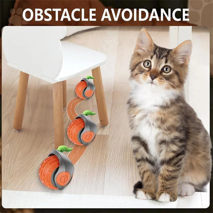 Automatic Rolling Cat Ball