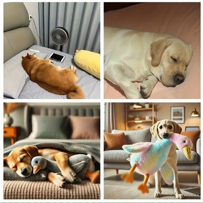 Duck Plush Dog Toy