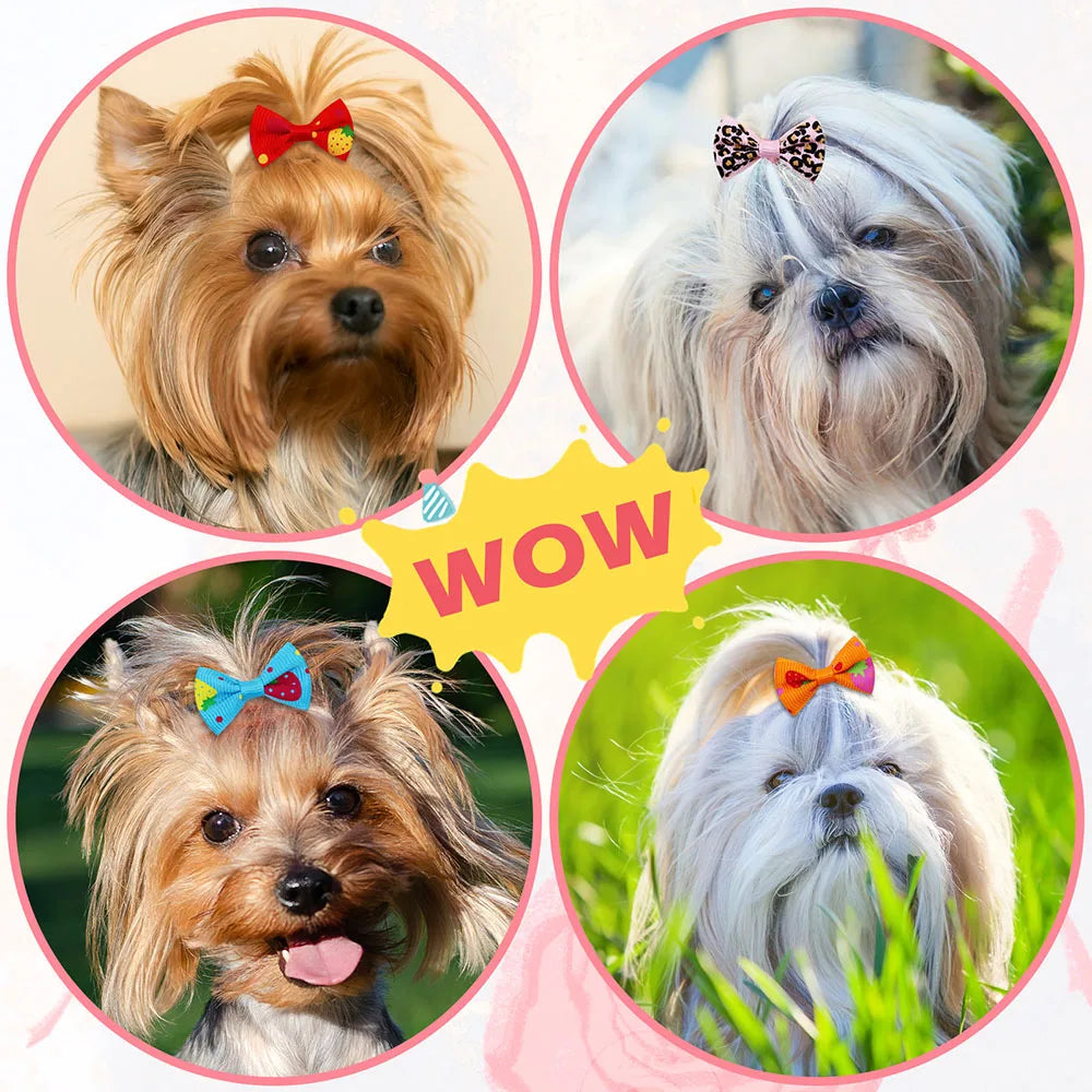 Dog Hair Bows (30-Pack)