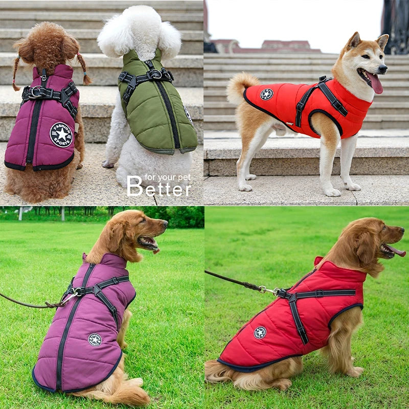 Winter Dog Jacket with Built-In Harness