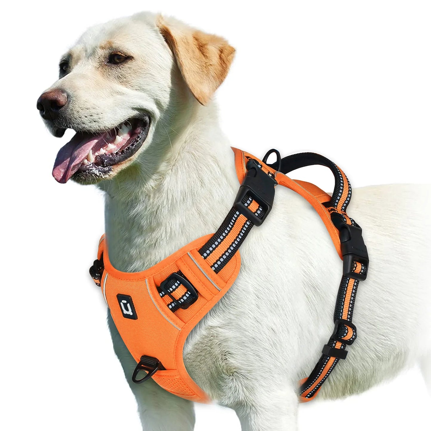 Padded No-Pull Dog Harness