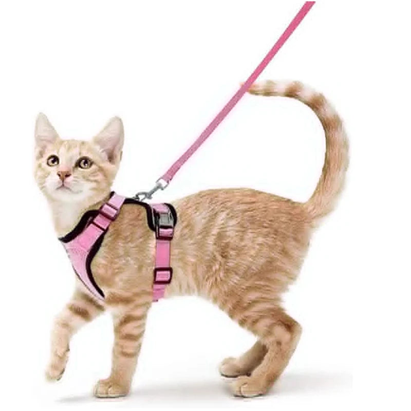 Soft Escape-Proof Cat Harness & Leash