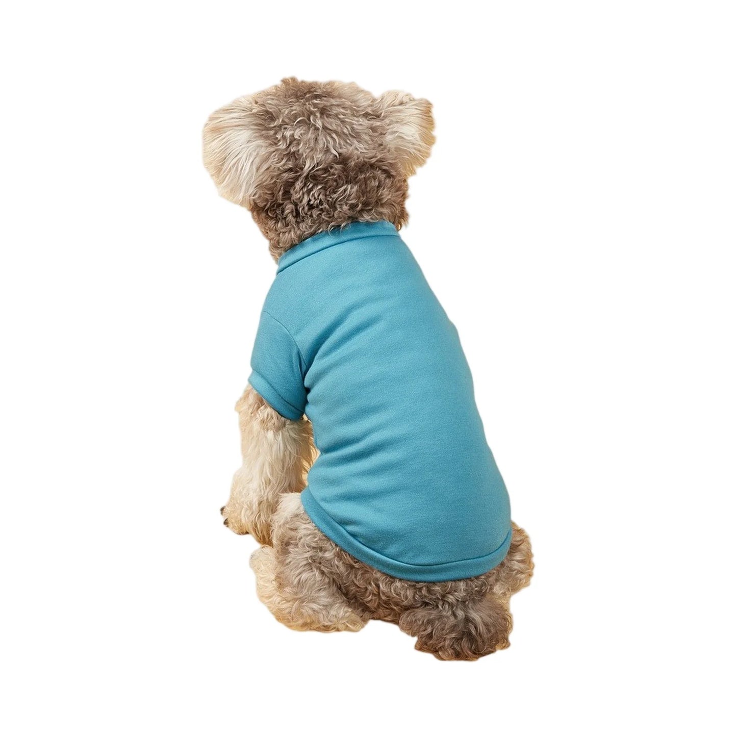 Solid Summer Dog Tee