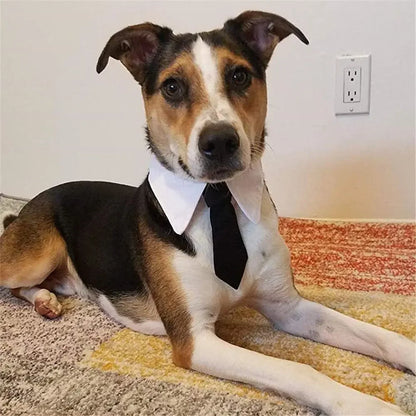 Formal Dog Tuxedo Bow Tie