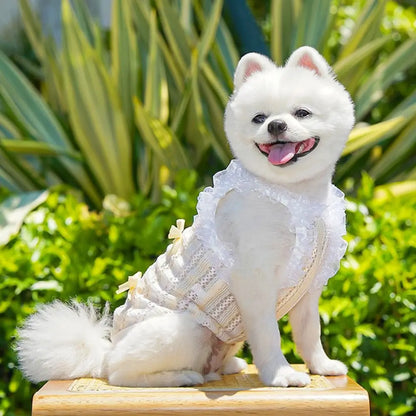 Lace Bow Pet Dress Vest
