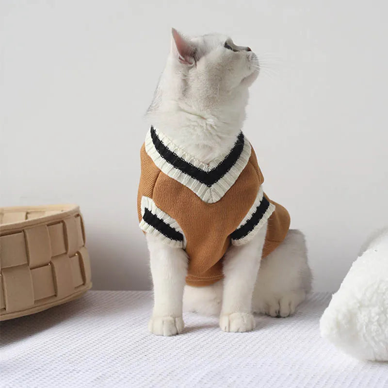 Winter Knit Pet Pullover