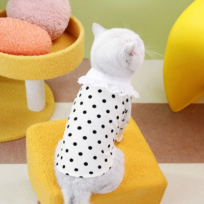 Polka Dot Summer Dog Dress