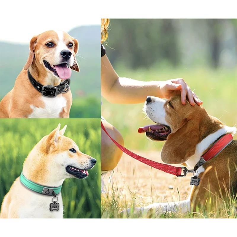 Padded Reflective Dog Collar