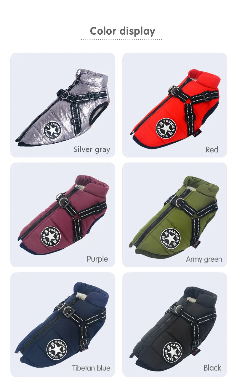 Winter Dog Jacket with Built-In Harness