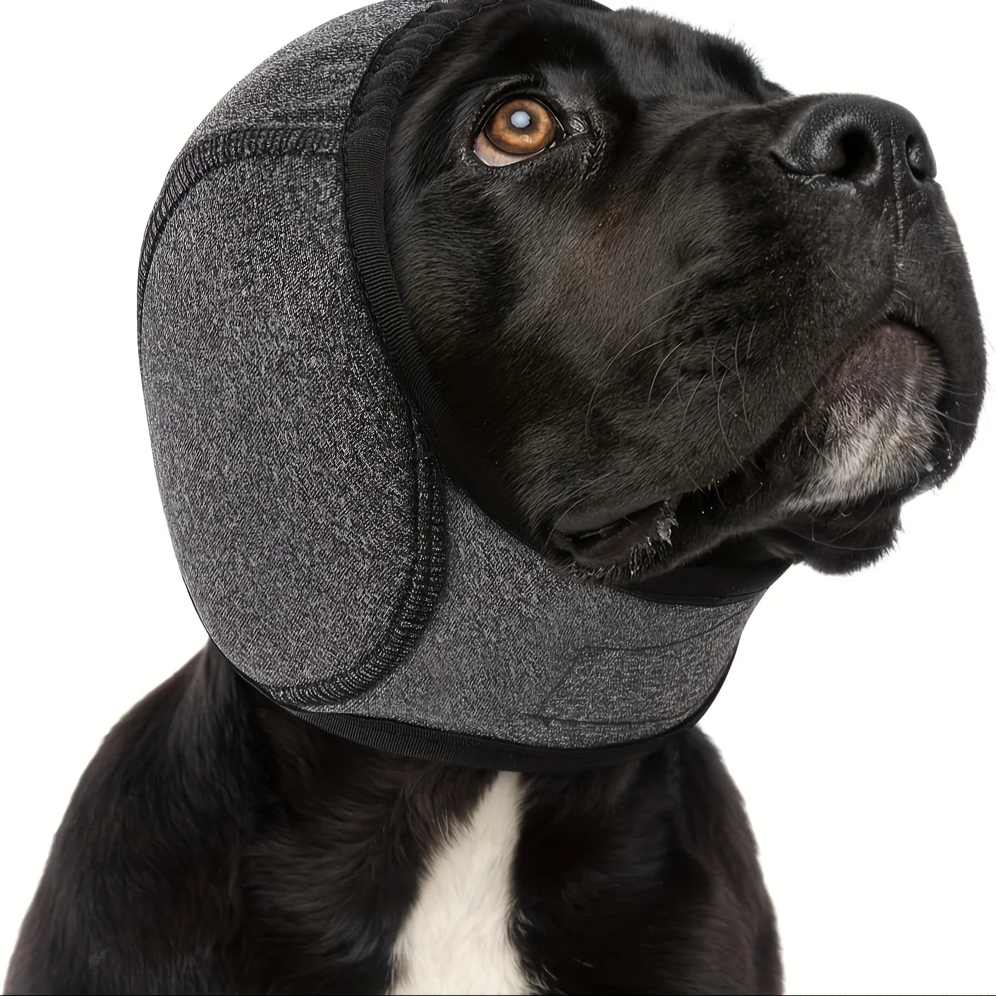 Calming Dog Ear Muffs (Noise Reduction)