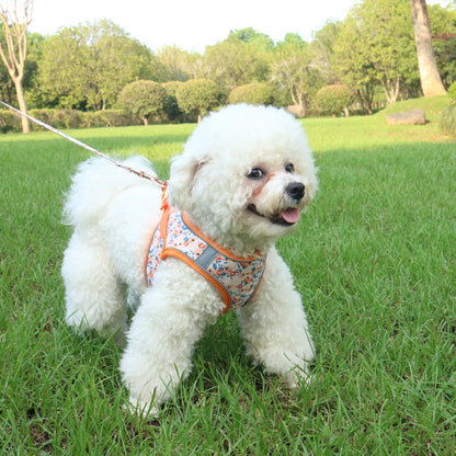 Small Dog Harness & Leash Set