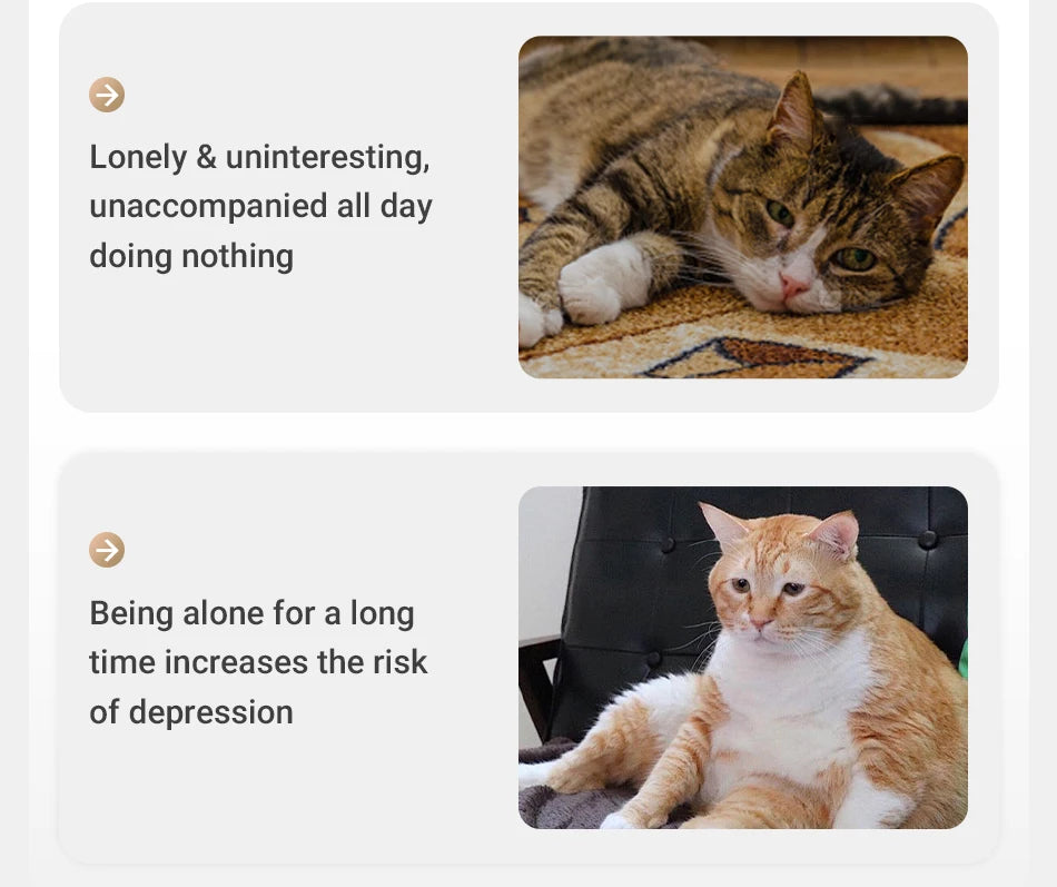 Automatic Electric Cat Laser Toy