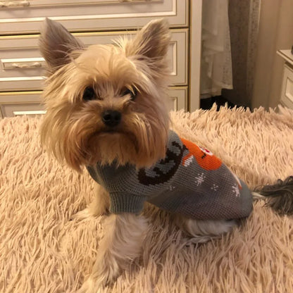 Cozy Knit Dog Sweater