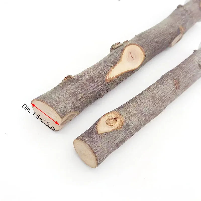 Natural Wood Branch Bird Perch