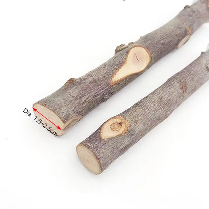 Natural Wood Branch Bird Perch