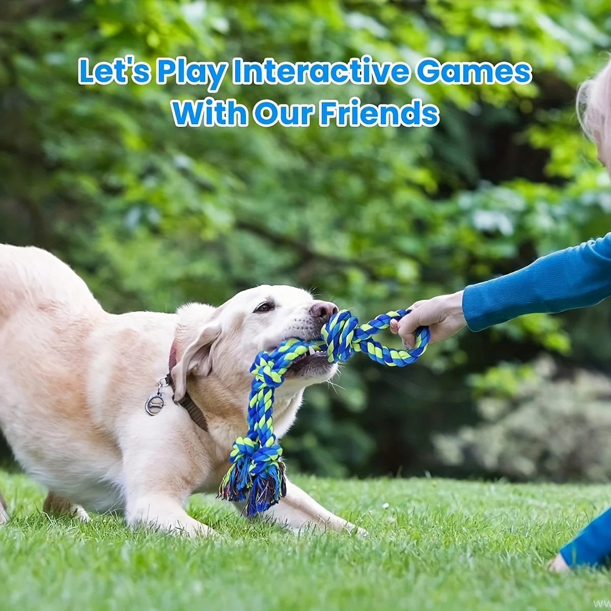 Tug-of-War Knot Dog Toy