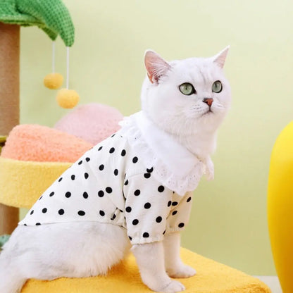 Polka Dot Summer Dog Dress