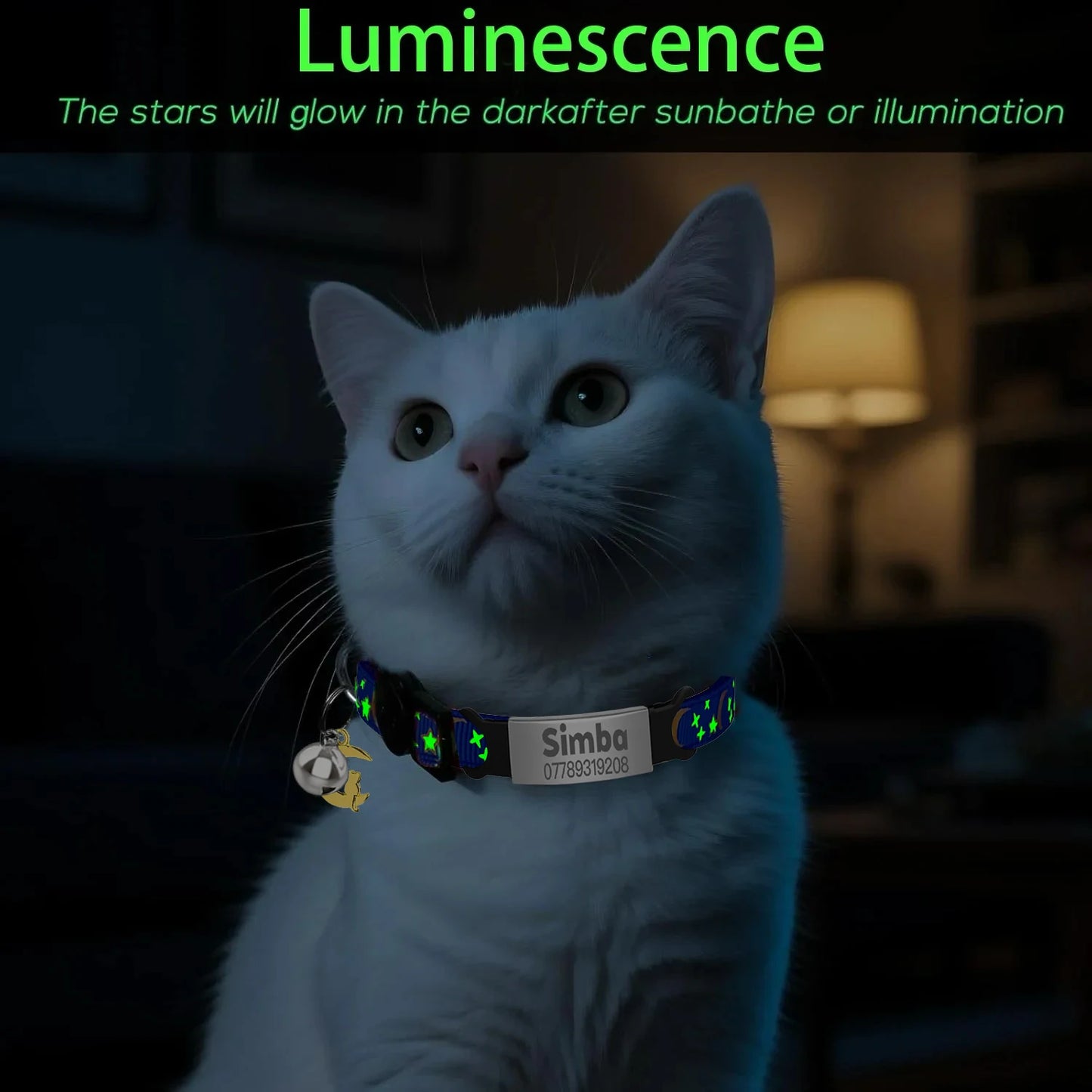 Personalised Glow Cat Collar with ID
