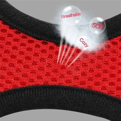 Mesh Cat & Dog Vest Harness Set