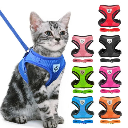 Mesh Cat & Dog Vest Harness Set