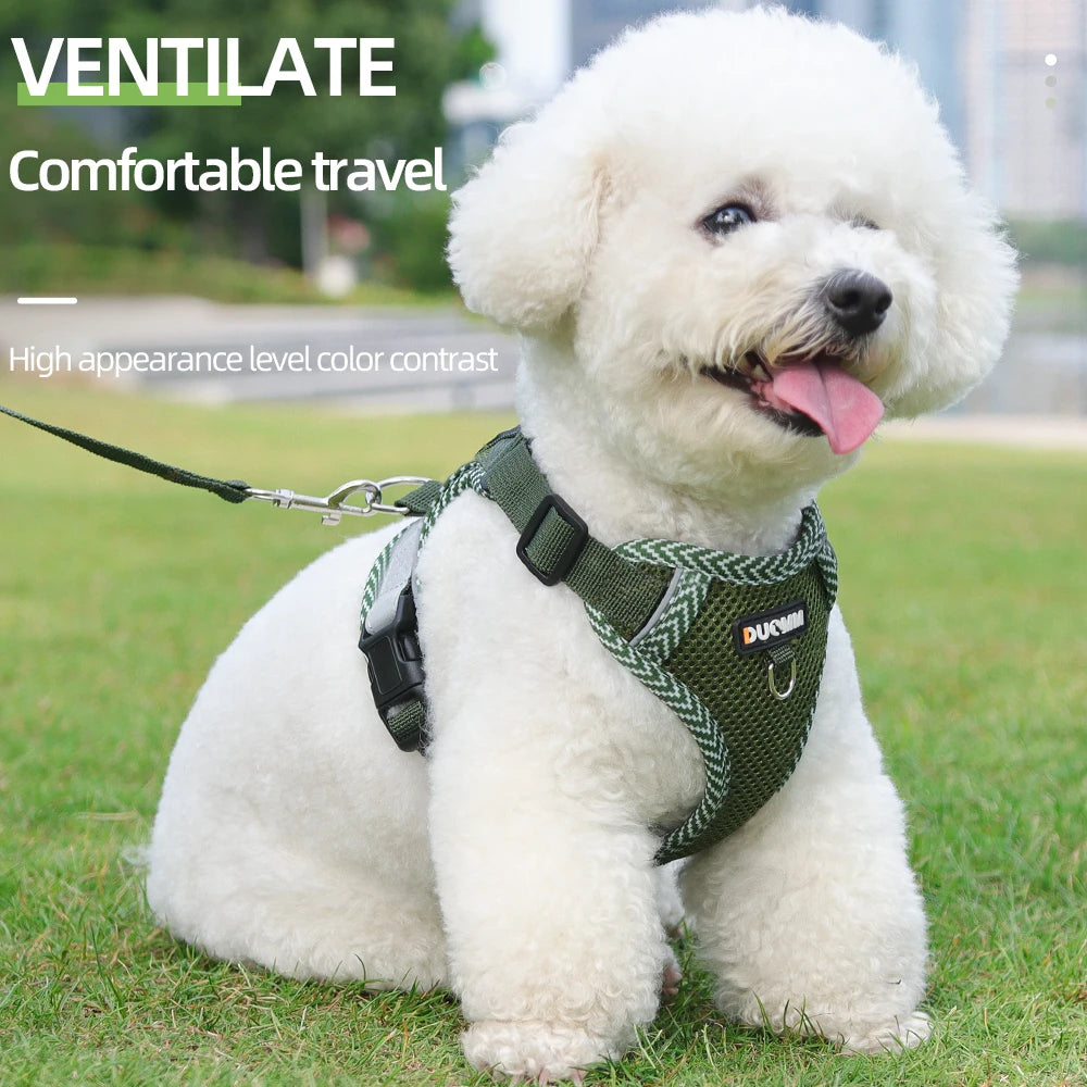Reflective Mesh Cat Harness & Leash Set
