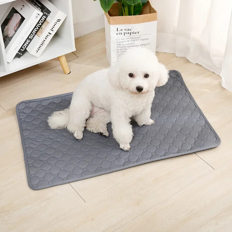 Reusable Washable Pee Pad