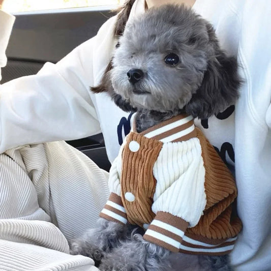 Embroidered Dog Baseball Jacket
