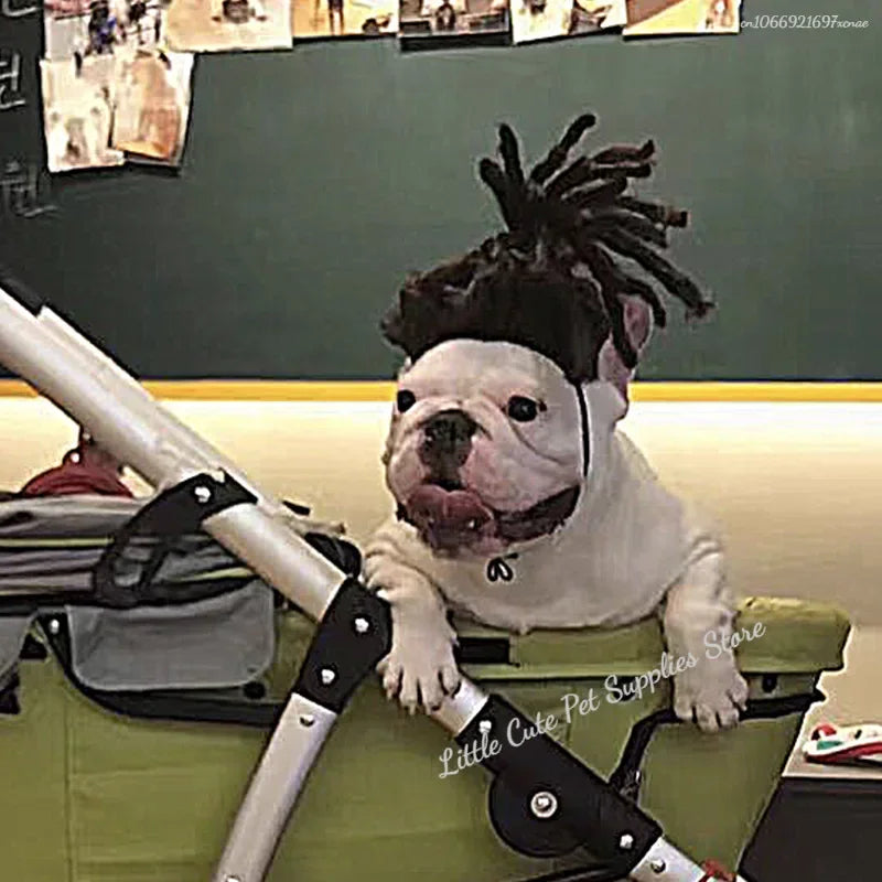 Funny Dog Cosplay Wig